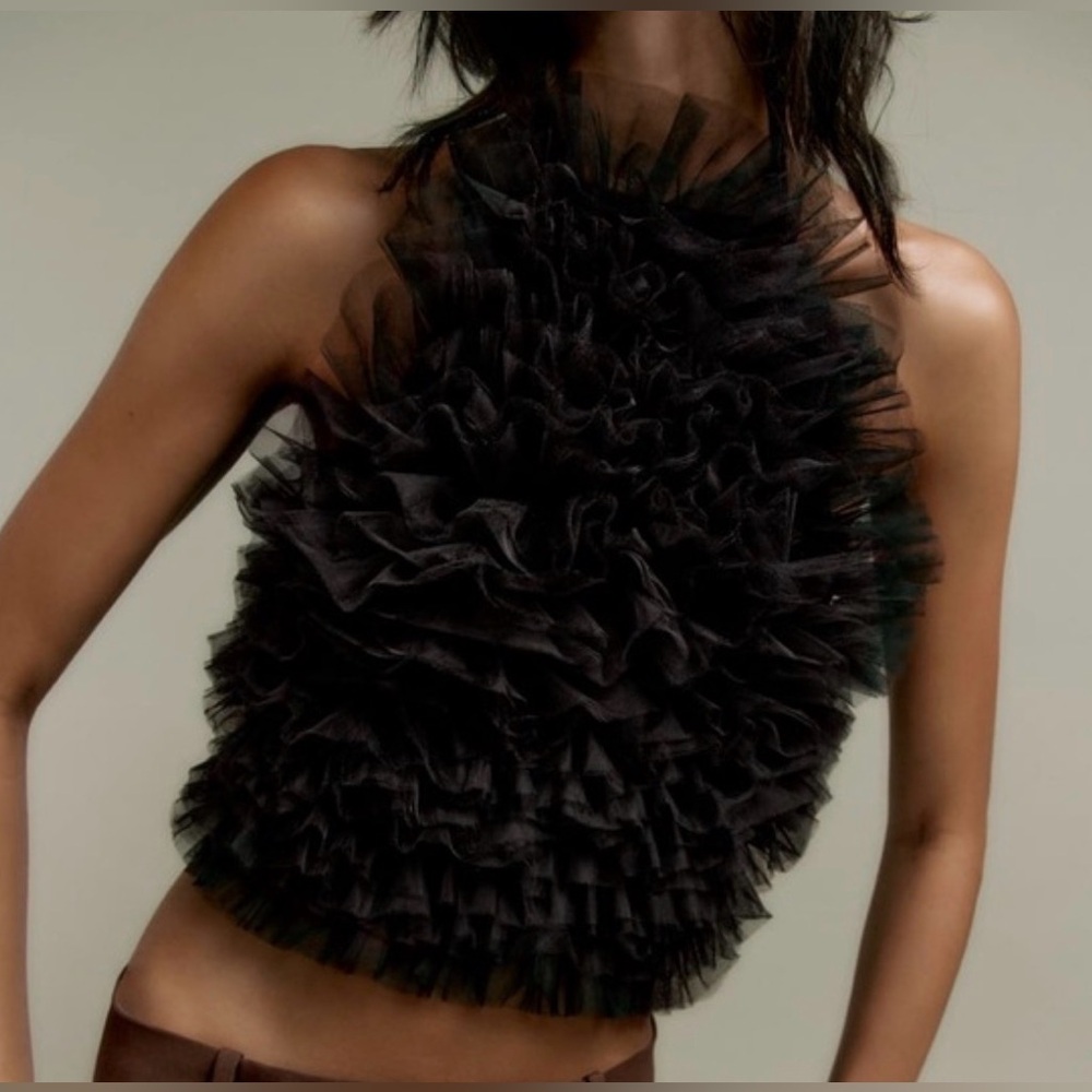 Influencers Favorite Zara Tulle Halter! Size small with tags.